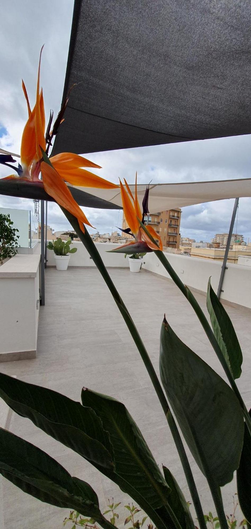 My House Luxury Home Marsala Exterior foto